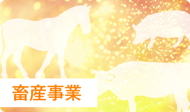 畜産事業